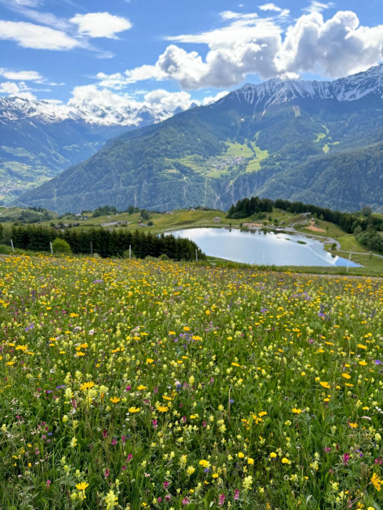 Martinshof Ladis Inklusive Super Sommercard Sommerseilbahnticket Exteriér fotografie